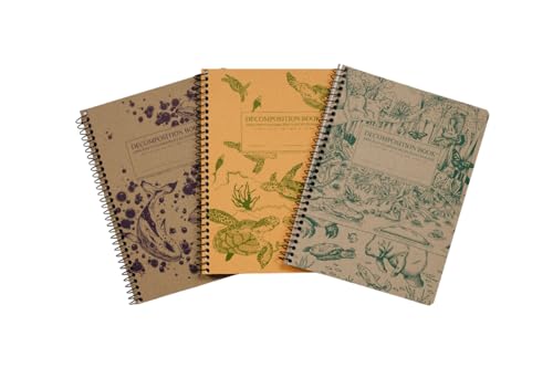Decomposition Book by Michael Roger