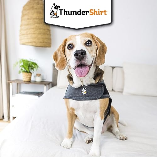 Thundershirt Beruhigungsweste XL