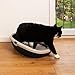 kooa - Schalentoilette für Katzen | aus 100% recyceltem Plastik | tiefer Einstieg | Löcher im Rand zum Streu-Abstreifen | Maße: 53 x 41 x 16 cm