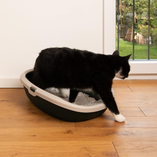 kooa - Schalentoilette für Katzen | aus 100% recyceltem Plastik | tiefer Einstieg | Löcher im Rand zum Streu-Abstreifen | Maße: 53 x 41 x 16 cm