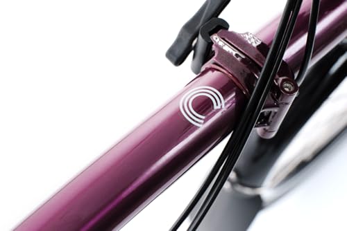 Brompton Folding Commuter Bike C Line 12-Speed | Compact, Lightweight, Urban Bike for Adults (Amethyst Lacquer, Low)