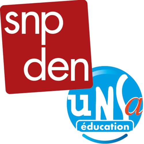 Les rencontres du SNPDEN : webinaires, visios et formations copertina