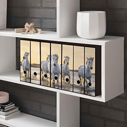 Set da 7 raccoglitori ad anelli CAVALLI - Faldoni