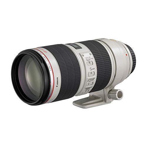 Lente Canon EF 70-200mm f/2.8L USM Telephoto Zoom Ultrasonic