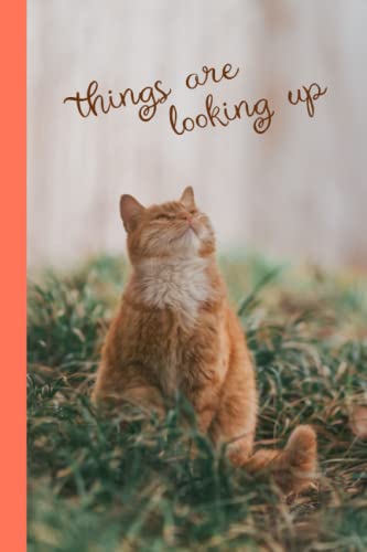 Opiniones y reviews de Thinner standard más recomendados. 23 Things are looking up - ginger cat - lined notebook/journal - 6 x9 inches, 108 pages, thinner version of our standard notebook: lined notebook for everyday use