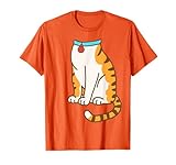 Orange Cat Costume Shirts