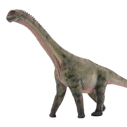 Camarasaurus 1:35 AMITD cadeau prestige passionné paléontologie