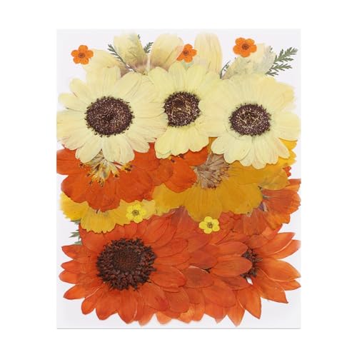 Hojas de flores prensadas secas 32 piezas para manualidades miniatura 1