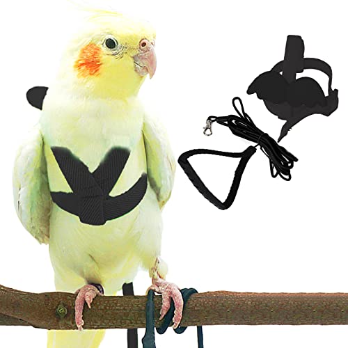 Dnoifne Pet Parrot Bird Harness and…