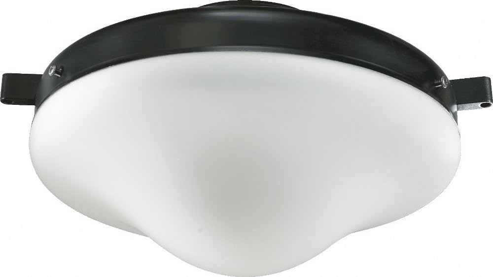 One Light Patio Ceiling Fan Light Kit Finish: Old World