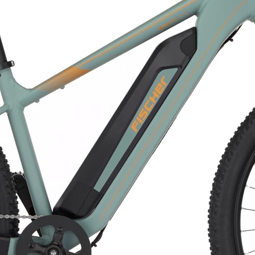 Fischer E-Bike MTB Montis 2.2 Active Elektrofahrrad für Damen und Herren, RH 49, Heckmotor 50 Nm, 48 V Akku – Bild 4