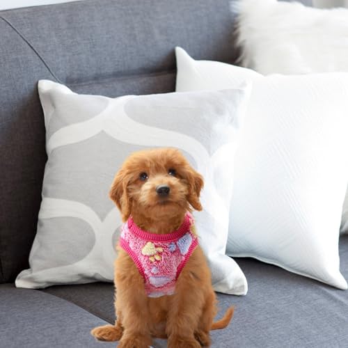Ropa para perro cachorro con diseño de conejo talla XXS miniatura 6