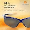 KleenGuardTM V30 NemesisTM Safety Glasses (47387), Smoke Lenses with KleenVisionTM Anti-Fog coating, Metallic Blue Frame, Unisex Eyewear for Men and Women (12 Pairs/Case)