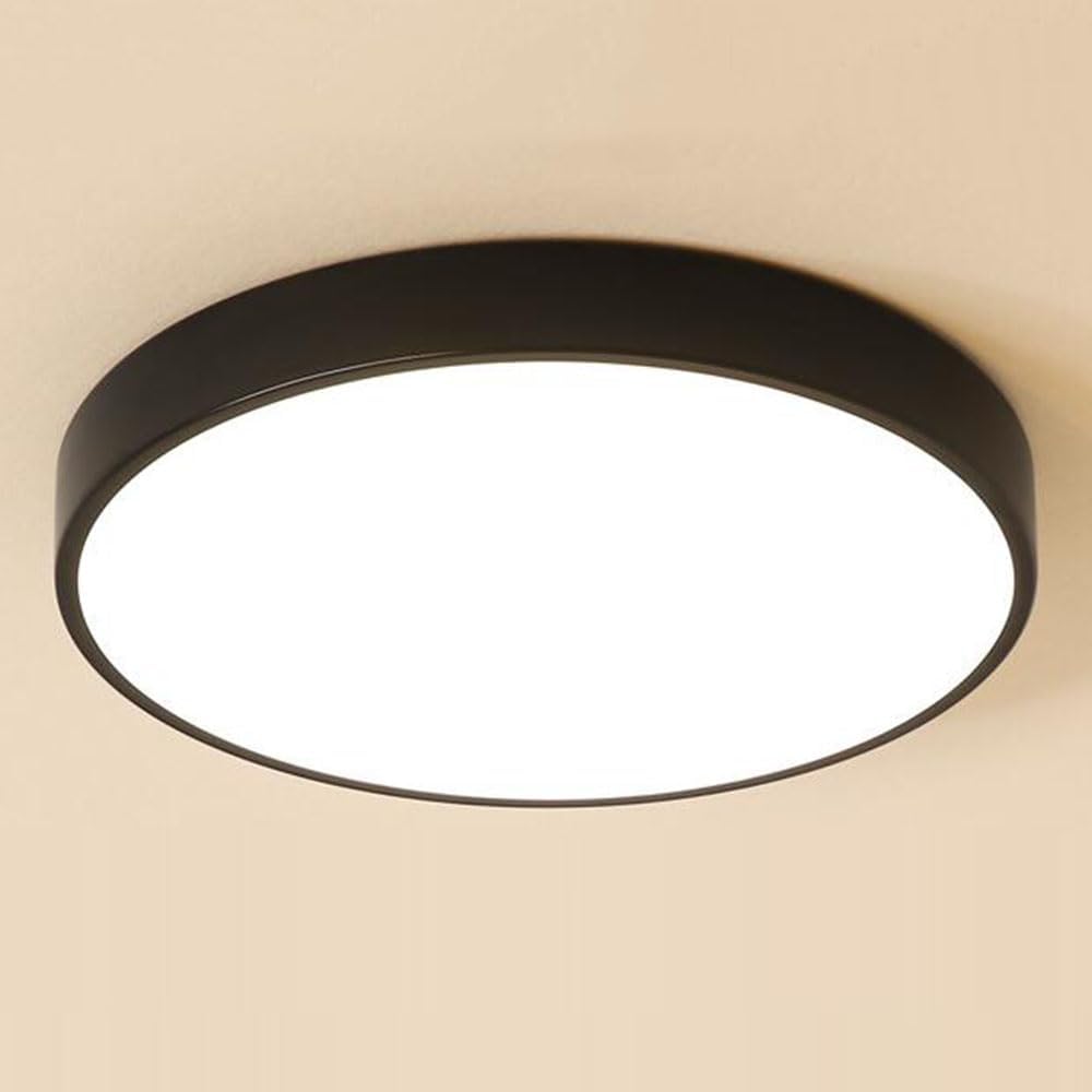 Flush Mount Ceiling Lamp Dimmable with Remote Control Light Fixture 19.7In 36W Close to Ceiling Light Modern Ultra-Thin round Ceiling Lamp for Bedroom, Kitchen, Hallway, Laundry Room(Gree/Pi
