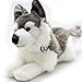 Kuscheltiere.biz Husky Balto - Perro trineo tumbado (36 cm)