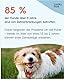 Lucky Pets Zahnpflege Pulver für Hunde I Zahnsteinentferner Hund [250 g Made in Germany] Natürliche Zahnreinigung Hund gegen Mundgeruch & Zahnstein I Zahnpflege Hund I TESTSIEGER