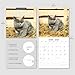 British Shorthair Cats 2026 Square Wall Calendar