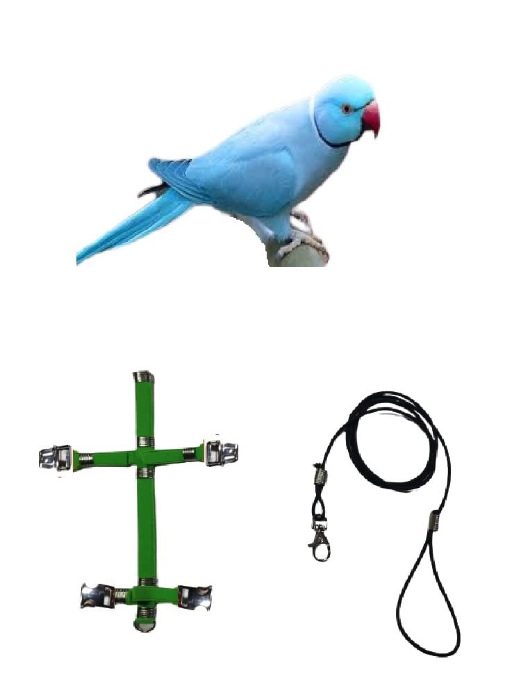 Arnés para periquitos y loros de todas las razas con cuerda de 3 mm y collar elástico