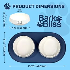 22oz650ml ceramic dog bowls for small size dog  4 cups dog cat water and food bowl set for small medium size dogs durable small dog bowls ceramic for convenient feeding non skid spill silicone mat   cucciolini doodles