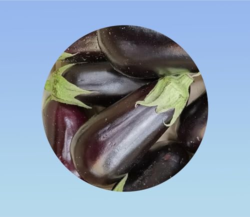 50 graines aubergine Violette de Barbentane