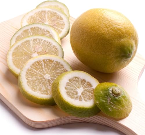 [ rc_ ] a̎RY 킯  5kg y _ς̒ɂق̂ȊÂ݁ID킢 z Y lemon Y  k k i h܂⃏bNXsgp j