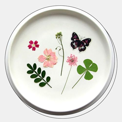 Flores secas prensadas para resina y manualidades miniatura 7