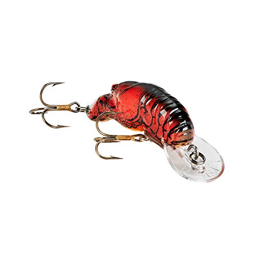 The 10 Best Lures for Panfish Baits for Bluegill, Crappie and More