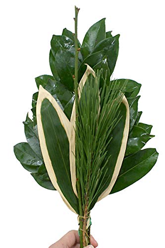 |~TJL1 ؉ |~I }t ͂ 12/26?12/31̂͂܂