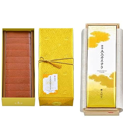  ܎OJXe 1B (10ؓ) ˔ ×2sQZbgtyY Mtg