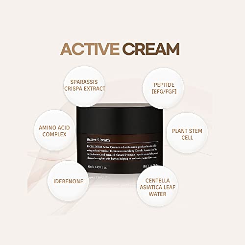 Incellderm-Active-Cream-50ml-Strengthen-Skin-Barrier-Plant-Stem-Cell-Intense-Moisturizing-All-Skin-Types-K-Beauty-Made-in-Korea