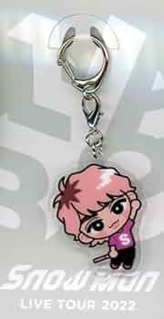 スノラボ アクリルキーホルダー 41SuduiPcQL._AC_UF350,