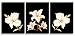 Sweety Decor Modern Sweety Decor Modern Giclee Prints Artwork Multi White Elegant Flower On a Black Background Paintings Print On Canvas Wall Art Painting for Living Room Decor and Bedroom Decoration