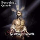  La orden cartujana