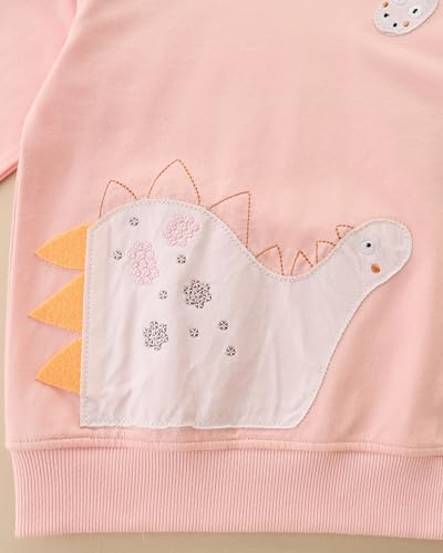 Image of AIWUHE Toddler Cotton Sweatshirt Boys Girls Pullover Long Sleeve Tops 2-6Y | Tops Blouse, Cotton T-Shirt, Fall Winter Clothes