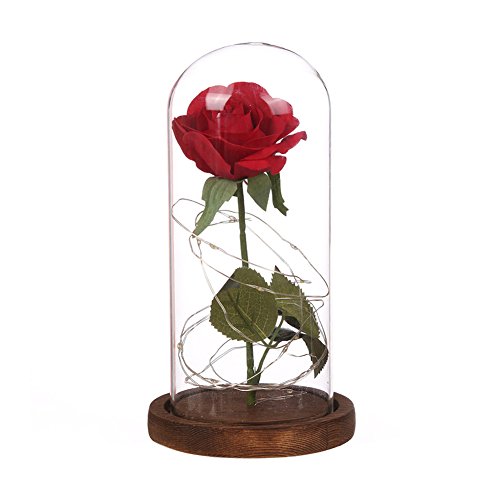 mAjglgE Rosa artificial con cúpula de cristal, base de madera e iluminación para decoración del hogar, vidrio madera plástico, marrón, 22cm x 11.4cm