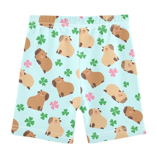 Capybara with Lucky Clover Blue Girls Shorts Elastic Waist Sports Shorts Girls Leggings Pants for 4-10 Years2