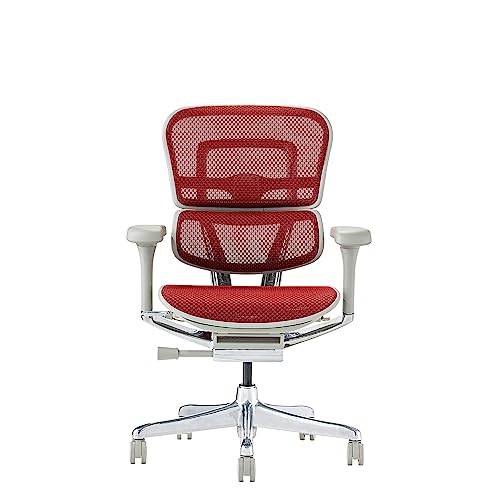 Ergohuman2 (�G���S�q���[�}��2) �V��� �v�� ���[�^�C�v �i�C�����L���X�^�[ ���b�h���b�V��/�O���[�t���[�� EHP2-LAM-DR-GF-RD 445453