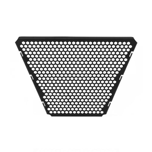 Grille radiateur moto Panigale V4 S Corse R Streetfighter V4S protection