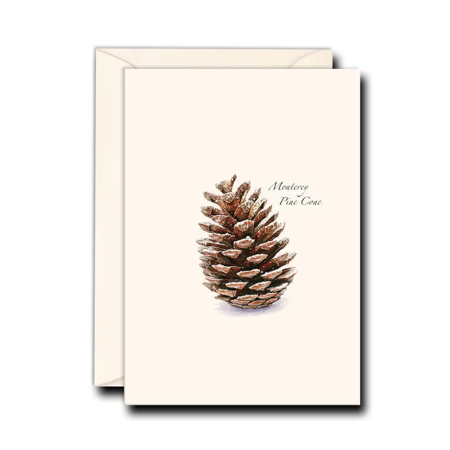 Image of Earth Sky + Water - Pine Cone Notecard Set - 8 Blank Cards with Envelopes