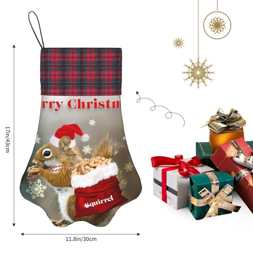 JaoXer Weihnachts-Eichhörnchen-Weihnachtsstrumpf mit Pfotenabdrücken – doppelseitig bedruckt für festliche Dekoration – einzigartige Familienurlaubskamindekoration