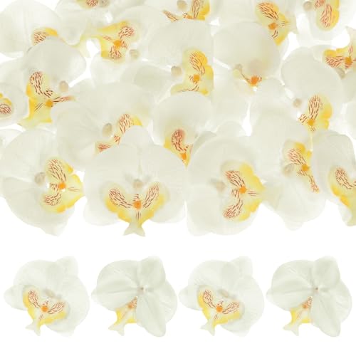 M METERXITY 20-Pack Artificial Orchid Flower Heads, Silk Faux Butterfly Flowers Head for Wedding/Bouquet/Bridal/Party Decor, Fake Phalaenopsis Petals Bulk [2.76 Inch, White Yellow]