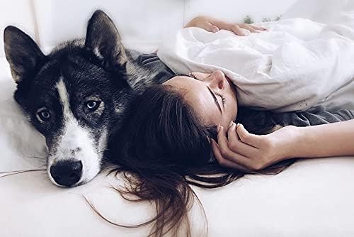 Twin-XL Size - Ivory 3 PC Pinch Pleated Ruffle Comforter Set with 4 Corner Ties 100% Cotton 500 GSM Fill Power All Season Soft Exquisitely Beautiful 1 Comforter + 2 PillowShams