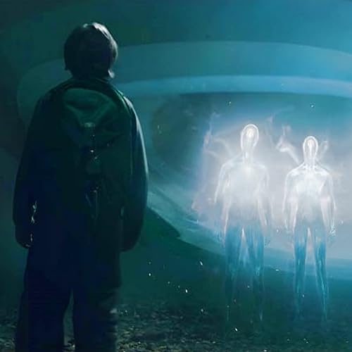 14 - El Contacto - Los Seres y la Nave