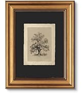 VIYYIEA Vintage Gold Framed Wall Art, Botanical Sketch Rustic Farmhouse Decor, Aesthetic Classica...