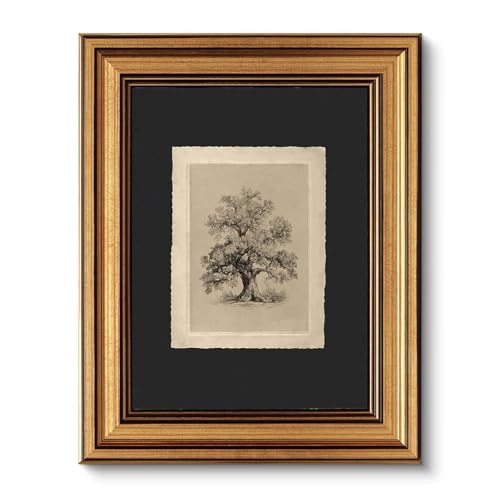 VIYYIEA Vintage Gold Framed Wall Art, Botanical Sketch...