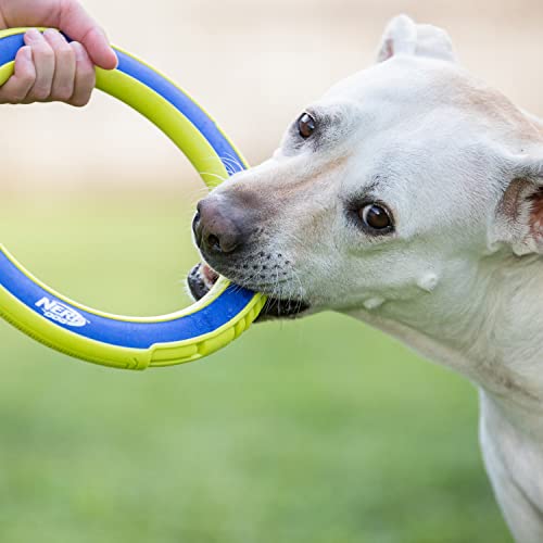 Nerf Dog Megaton Nylon Flyer Dog Toy, Flying Disc, Lightweight, Durable And Water Resistant, 10 Inch Diameter, For Medium/Large Breeds, Single Unit, Blue/Green #TOP3