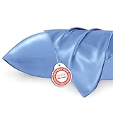 Bedsure Satin Pillowcase for Hair and Skin Queen - Sky Blue Silky Pillowcase 2 Pack with Envelope Closure, Similar to Silk Pillow Cases, Gifts for Women Men, 20x30 Inches, 2pcs
