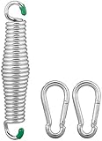 Semptec Urban Survival Technology Feder für Hängesessel: Schwingfeder für Hängesessel & -Matte, 2 Karabinerhaken, bis 120 kg (Spiralfeder)