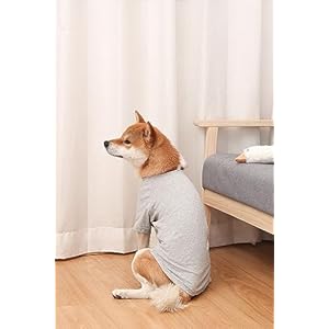 Dog-Shirts-2pcs-Blank-Shirts-Soft-for-Small-Medium-Large-Dogs-and-Cat-Soft-and-Breathable-Apparel-Shirts - Cucciolini Doodles   Dog-Shirts-2pcs-Blank-Shirts-Soft-for-Small-Medium-Large-Dogs-and-Cat-Soft-and-Breathable-Apparel-Shirts
