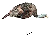 THE GRIND Bugging Hen Decoy | Realistic Hen Turkey Decoy with 2-Piece Motion Stake